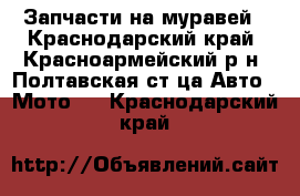 Запчасти на муравей - Краснодарский край, Красноармейский р-н, Полтавская ст-ца Авто » Мото   . Краснодарский край